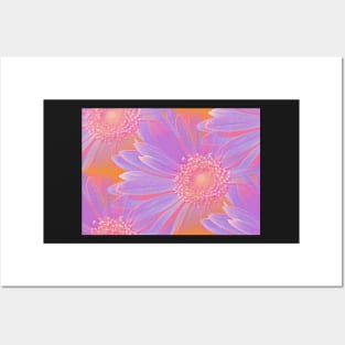 Gerbera Pattern in Orange and Purple Posters and Art